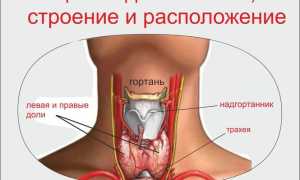 Как диагностировать бластому щитовидной железы?
