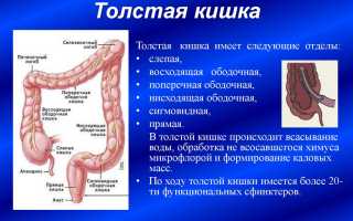 Что такое бластома толстой кишки?