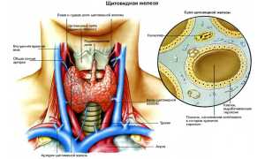 Фолликулярная аденома щитовидной железы