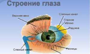 Рак глаза и его симптоматика