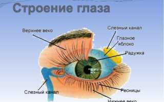 Рак глаза и его симптоматика