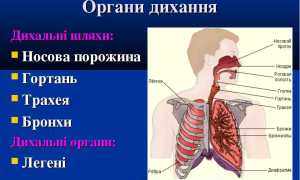 Аденома бронха: симптомы и лечение