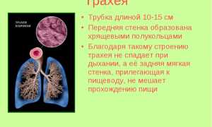 Симптомы опухоли трахеи