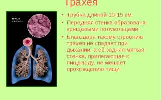 Симптомы опухоли трахеи