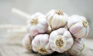 Лечим зубную боль народными методами