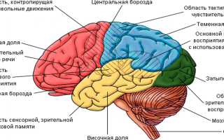 Неоперабельная опухоль головного мозга