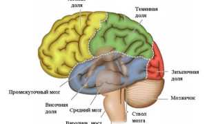 Сколько живут с опухолью головного мозга?