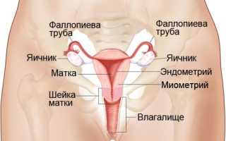 Лечение и прогноз выживаемости при карциноме шейки матки
