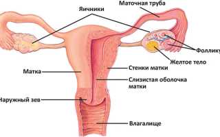 Рак матки: симптомы и лечение