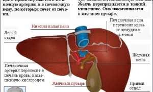 Симптоматика и лечение гепатоцеллюлярной аденомы печени
