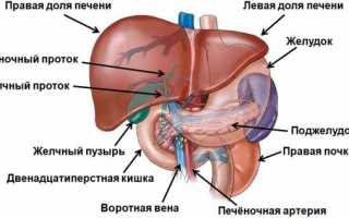 Опухоль желчи: симптомы, диагностика и лечение
