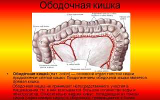 Симптомы и лечение рака ободочной кишки