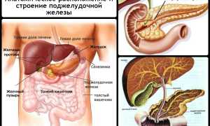 Лечение и симптомы рака поджелудочной железы