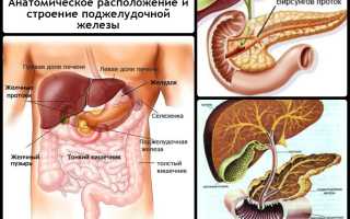Лечение и симптомы рака поджелудочной железы