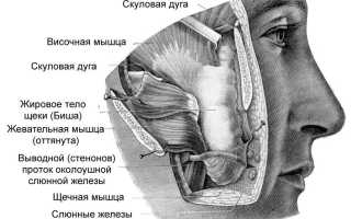 Симптомы и виды рака щеки