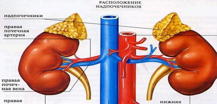 Аденома надпочечника