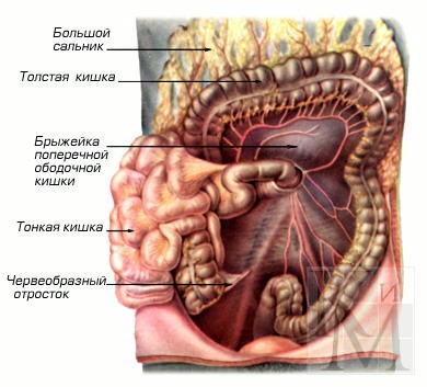 Опухоль брюшной полости
