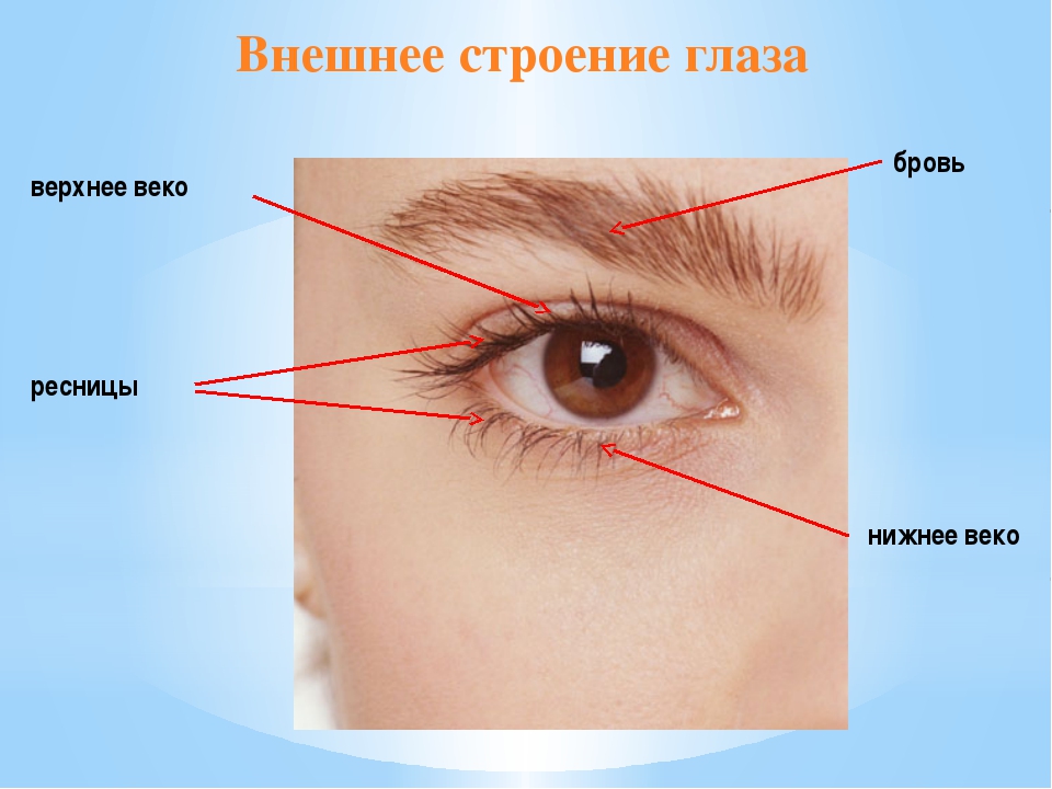 Опухоль на веке