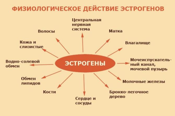 Эстрогенозависимые опухли