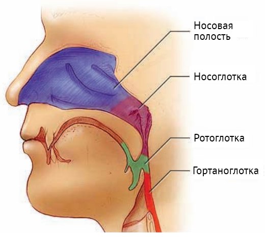 Рак носоглотки