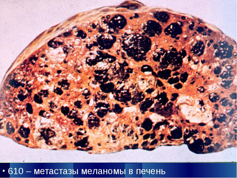 Диагностика
