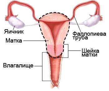 Симптомы рака шейки матки