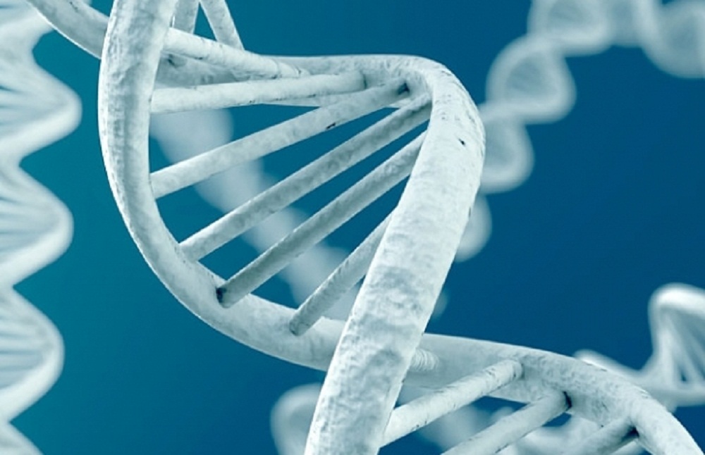 Наследственная предрасположенность