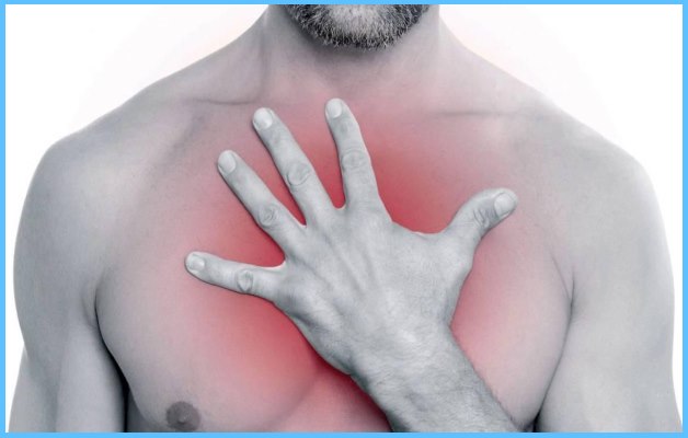 анатомия грудной клетки