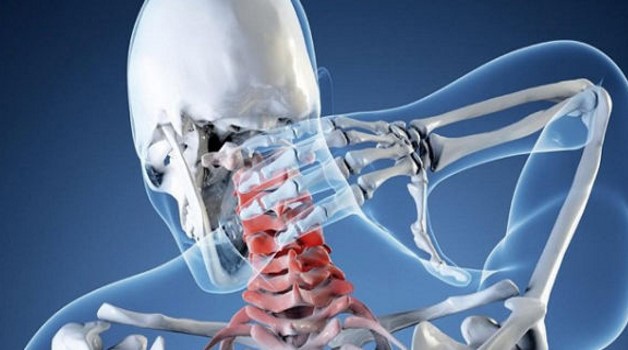 вертебро-базильный бассейн