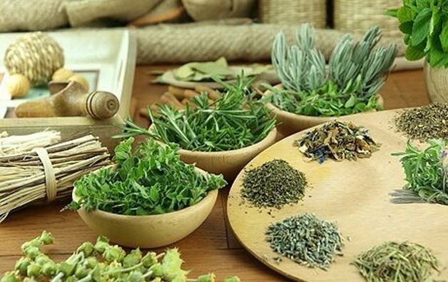 фитотерапевтические препараты