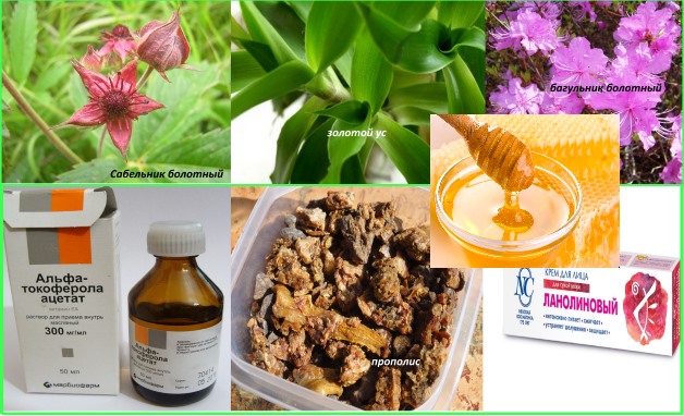 компоненты для приготовления домашней мази