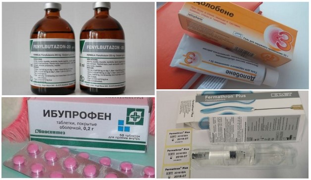 лечение гонартроза