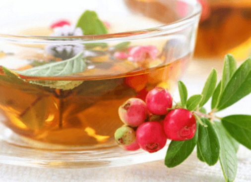 Листья брусники