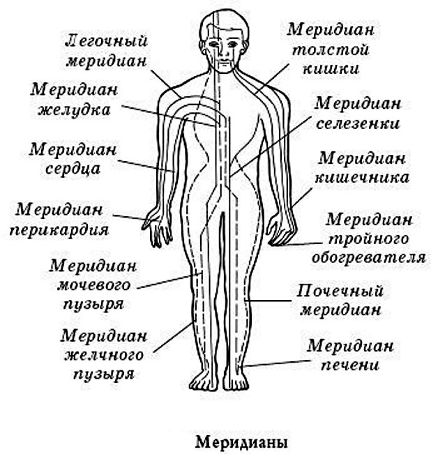 меридианы на теле человека