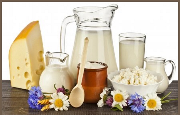 молочные продукты при остеохондрозе