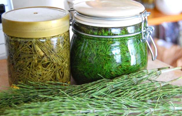 траволечение при артрозе плечевого сустава