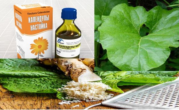 настойка календулы корень хрена корни лопуха в народной медицине