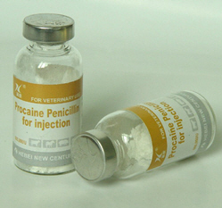 Пенициллин