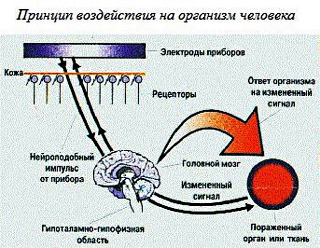 принцин воздействия скенара