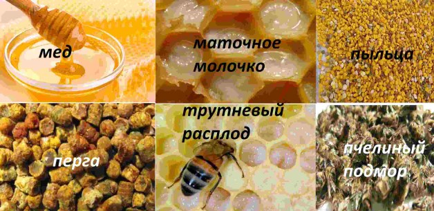 продукты пчеловодства