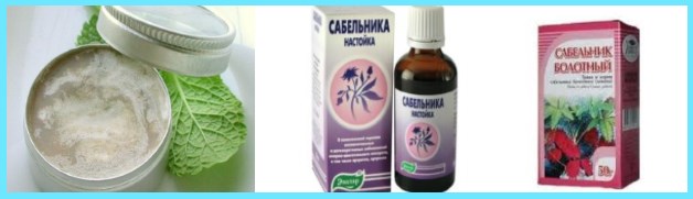 сабельник болотный