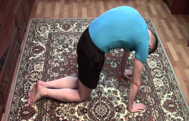 упражнение кошка