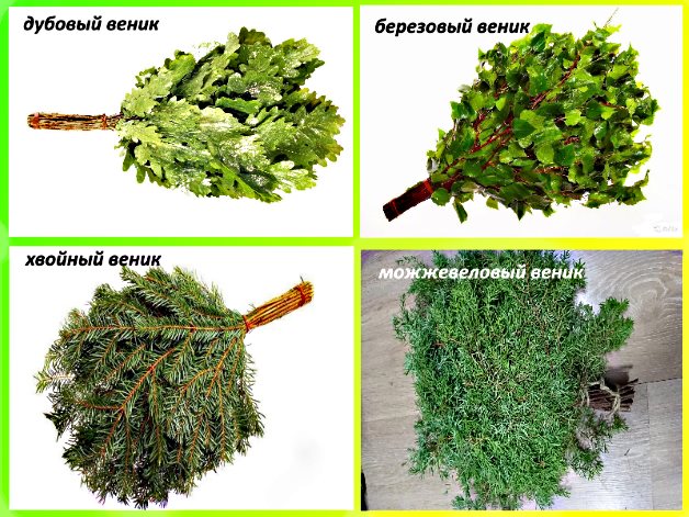 веники для бани