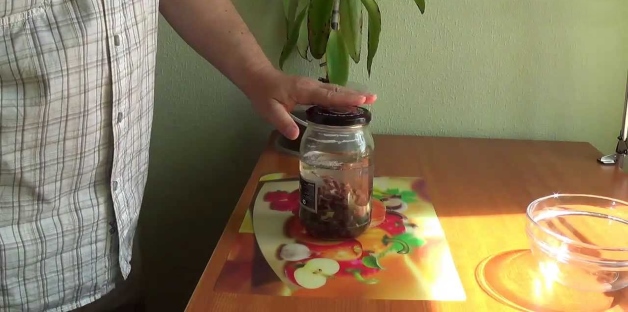 водный настой золотого уса